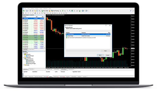 forex demo platform ancona otthoni munkája