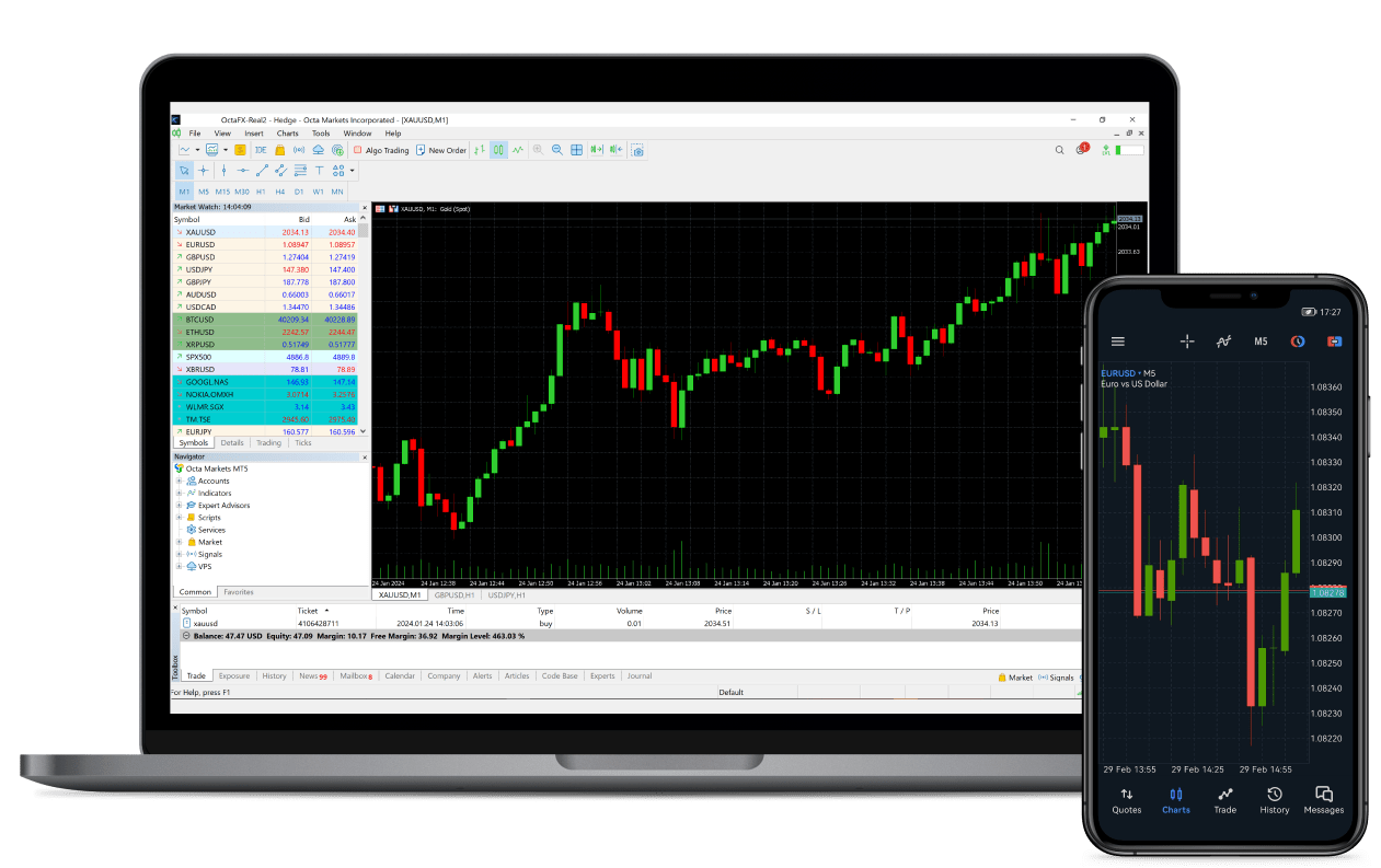 MetaTrader 5 Forex trading platform, application