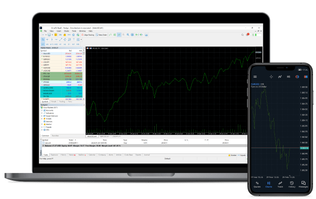 Metatrader 5 Forex Trading Platform Application - 